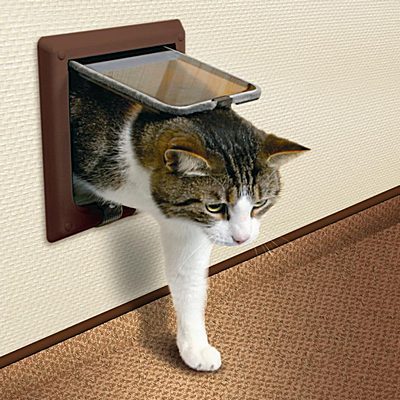 Catflap