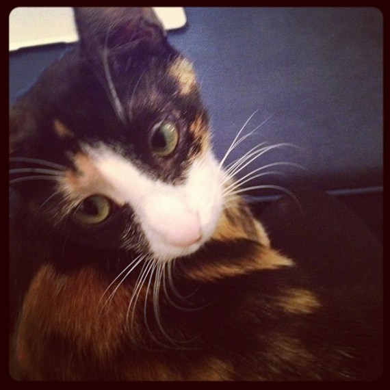 Media_httpdistilleryi_cheqq