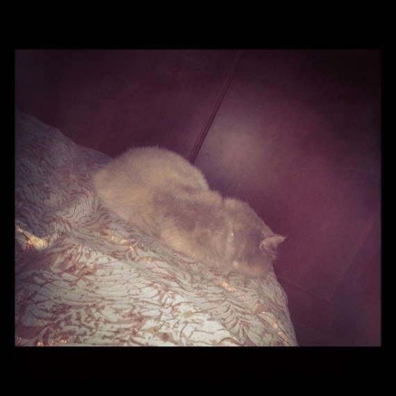 Media_httpdistilleryi_jdeks