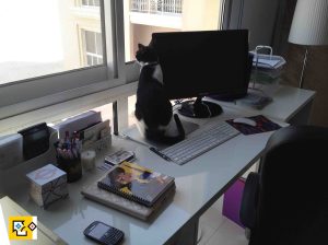 131002 Home office and oreo